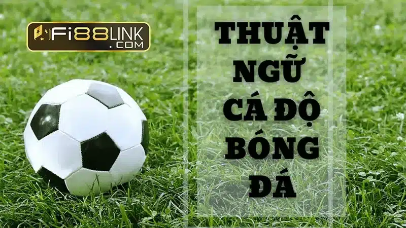 Kèo là gì? Cùng tìm hiểu các thông tin về kèo trong cá độ 5 Giải mã các thuật ngữ liên quan đến kèo