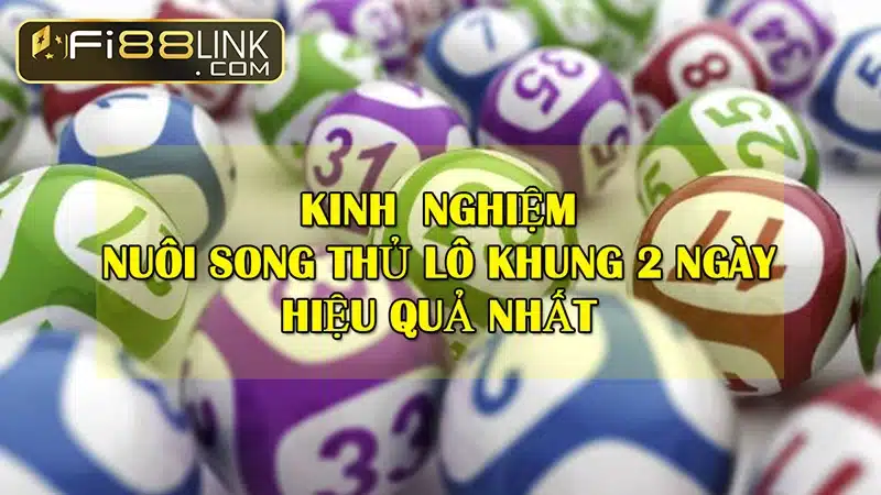 Hướng dẫn cách chơi song thủ lô nuôi khung 2 ngày 2 Cach Nuoi Lo Song Thu 2 Ngay