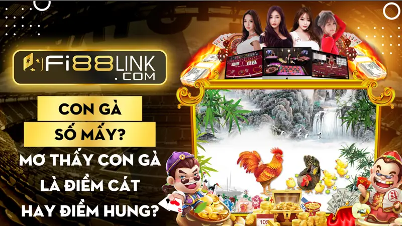 Con gà số mấy? Mơ thấy con gà là điềm cát hay hung? 1 Con gà số mấy? Mơ thấy con gà là điềm cát hay hung?