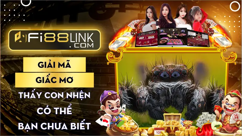 Giải mã giấc mơ thấy con nhện có thể bạn chưa biết đến? 1 Giai Ma Giac Mo Thay Con Nhen
