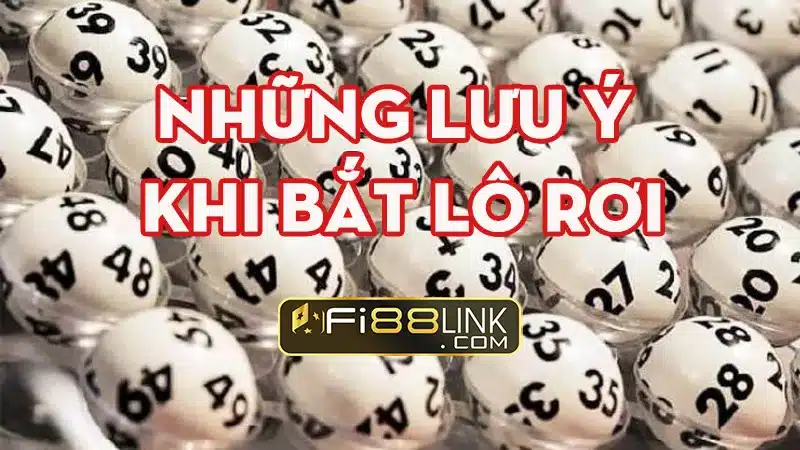Lô rơi là gì? Kinh nghiệm đánh lô rơi trúng lớn cho anh em 5 Nhung Luu Y Khi Bat Lo Roi