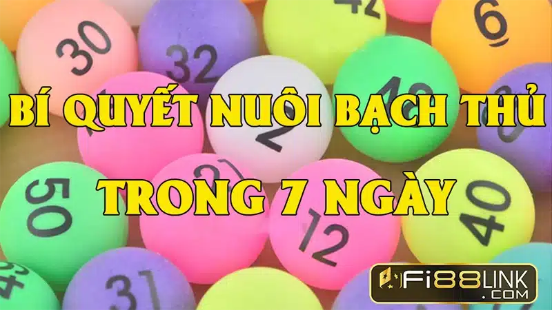 Có nên nuôi lô không? Top những cách nuôi lô bất bại 3 So Ve Khung 7 Ngay Co Nen Nuoi Lo Khong