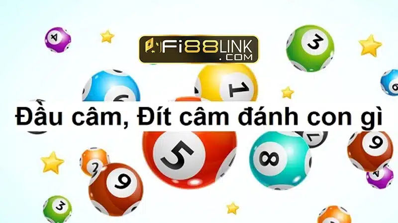 Đánh đề con gì Miền Bắc để nhanh giàu nhất? 4 Cach Soi Cau Lo De Kep Theo Dau Cam Dit Cam