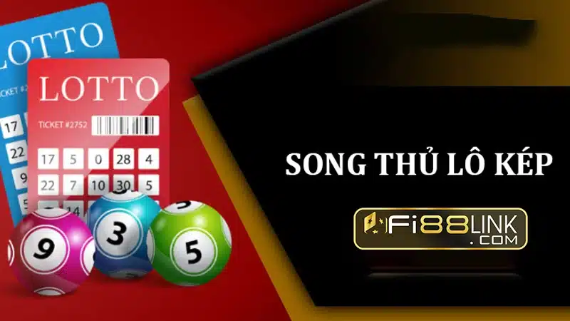 Phương pháp chơi Lô kép nuôi khung 2 ngày cực dễ 3 Nuoi Khung Voi Song Thu Lo Kep