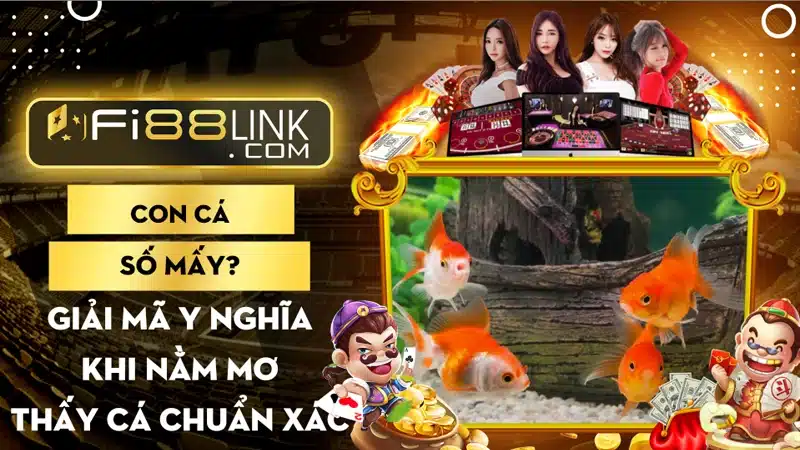 Con cá số mấy? Giải mã ý nghĩa khi năm mơ thấy cá chuẩn xác 1 Con Ca So May