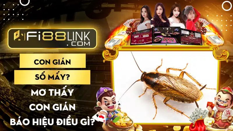 Con gián số mấy? Mơ thấy con gián báo hiệu điều gì? 1 Con gián số mấy? Mơ thấy con gián báo hiệu điều gì?