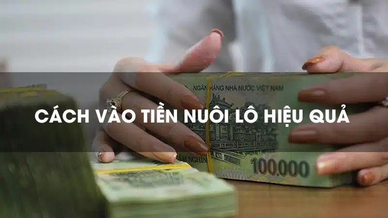 Khai phá những con đường tính giải đặc biệt lô đề trúng liên miên 3 Hướng dẫn cách vào tiền cho giải đặc biệt lô đề