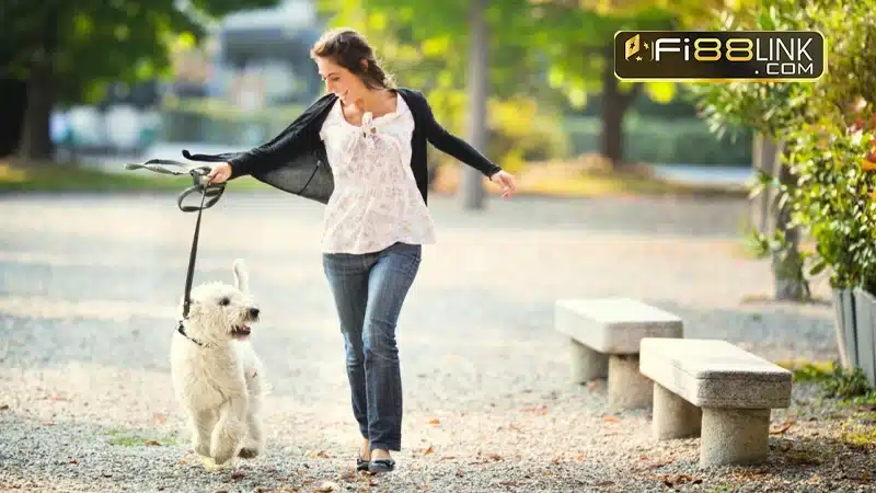 Nằm mơ thấy chó đánh con gì để thắng đậm? 5 Mơ thấy dắt chó đi dạo