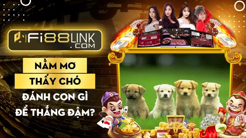 Nằm mơ thấy chó đánh con gì để thắng đậm? 1 Nam Mo Thay Cho